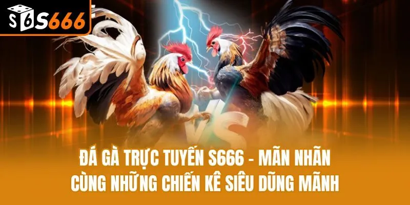 Đá Gà Trực Tuyến - Mãn Nhãn Cùng Chiến Kê Siêu Dũng Mãnh Đá Gà Trực Tuyến - Mãn Nhãn Cùng Những Chiến Kê Siêu Dũng Mãnh